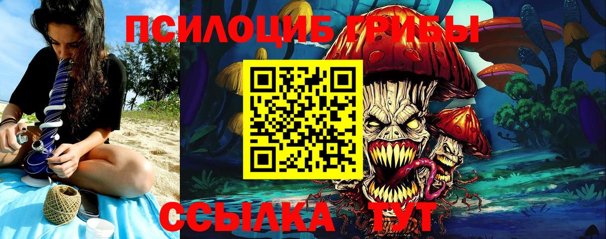 как найти   Галлюциногенные грибы Psilocybe  Вход с VPN  Губаха  Галлюциногенные грибы ЛСД 