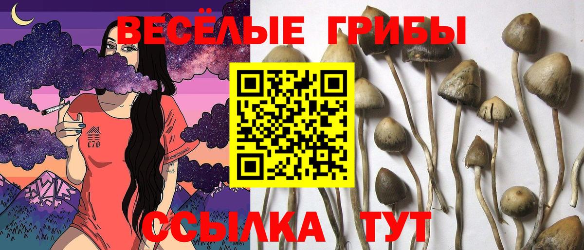 A PVP СК   Конопля  НБОМе  Вход с VPN  Амфетамин кристаллы  Губаха  Лсд 25  Кокаин  Меф   МДМА 